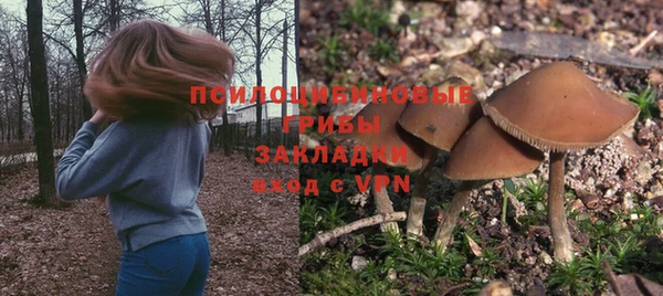 стафф Богданович