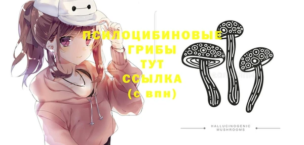 гашишное масло Богородицк