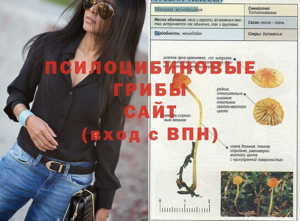 стафф Богданович